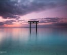 大安×大明日×一粒万倍日｜霊視・ヒーリングします 願いが叶う未来へ心と運気を整えます イメージ3