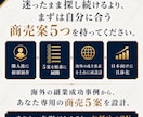 海外の副業成功事例から専用の商売5案を設計します 予算や作業環境に合わせた商売5案を個別設計 イメージ10