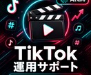 TikTok運用をAIでサポートします 台本作成から投稿戦略まで、TikTok運用をAIで効率化 イメージ1