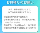 動画の字幕・フルテロップ作成を丁寧に即日で作ります 高品質で迅速な字幕作成サービスです。srt、mp4で納品。 イメージ4