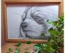 ペット・動物を鉛筆デッサンで描きます ペット・動物・似顔絵　・ペットロス・モノクロデッサン イメージ6