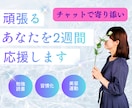 2週間毎日✧あなたの自分磨きを見守ります 一人では続かないことを、一緒に続けていきますꕤ*.ﾟ イメージ1