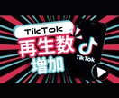TikTokの再生回数増やします TikTokの再生数を５万増やします！ イメージ1