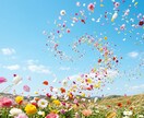 春の光　あなたの恋愛が花開く流れをお伝えします 片思い・復縁・結婚・交際中・相手の気持ち・禁断の恋・人間関係 イメージ8
