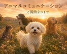 心に寄り添うアニマルコミュニケーションをします 〜【ご質問2つまで】ペットロス、今を生きるペットさんに〜 イメージ1