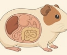 サイエンス医学・獣医学・分子生物学イラスト制作ます リアル・ハイクオリティな医学系イラストを提供いたします。 イメージ5