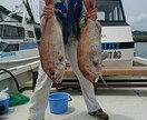かかり釣り、ダゴチンのコツ教えます かかり釣り、ダゴチン。伝授します(^｡^) イメージ2