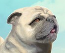 似顔絵、風景画、ペット絵などを描きます お気に入りの写真を絵にしてみませんか？ イメージ9