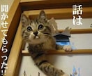 質問３個２０００円ペットの、通訳致します 動物、植物,石の話を聴きます＃アニマルコミュニケーター イメージ1