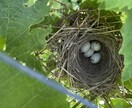 ワインを選びます 日常で飲むワインや贈り物でもお任せ下さい！ イメージ4