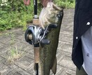 バス釣り秘密の野池教ます 釣り禁だけどバレない秘密の野池 イメージ1