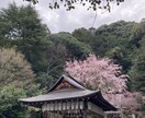 1人で抱え込まないで!!お話相手になります!ます なかなか相談できないことっってありますよね イメージ1