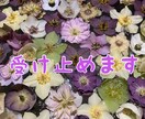 20代現役歯科衛生士が癒します お話相手にしてみませんか？耳を癒し疲れをほぐします♪ イメージ4