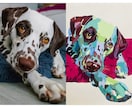 ペットをカラフルなアナログアートにします 『普通』のアートじゃつまらない！という方へ イメージ8