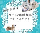 ペットの健康相談受付けます 動物病院で聞きづらいこと、聞いてみませんか？ イメージ1