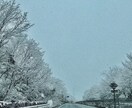 あなたの撮った写真を素敵な写真にします 思い出の写真にひと手間加えて映えさせます イメージ5