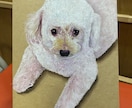 アクリル絵の具でペットの似顔絵を手描き作成します 犬・猫のクラフト紙をベースにリアルで温かみのある絵です イメージ1