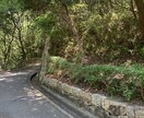 子育て移住田舎暮らしを考えている方へお悩み聴きます 田舎での子育ての本音、地方移住の疑問の“リアル”を答えます イメージ7