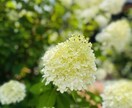 鬱のお悩みをお聴きます 鬱の方、一人で悩まず話してください イメージ1