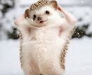 あなたのペットやキャラを踊らせることができます わんちゃんやハムスターなどほとんどの動物やキャラは可能です。 イメージ7