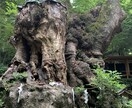 貴方の心のお悩み少しでも軽くます 心のお悩み少しでも軽くしていきませんか？ イメージ1