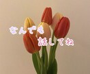 何分でもOK〜癒し系女子があなたのお話聞きます 恋話、愚痴、他愛もない話も、話すことですっきり◡̈ イメージ1