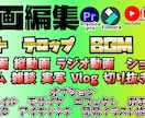 縦長short、横動画、動画編集承ります 【聞いてなくても聞き取れる】【目を離しても見れる】動画制作 イメージ3