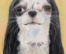 油絵で描きます 生き物の似顔絵、絵画一点物作品！ イメージ2