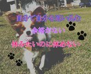 休むことが苦手な方、余裕のない方、受け止めます もと鬱病患者が、休むことが下手で疲れてしまう方の話を聴きます イメージ1