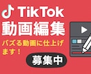TikTokなどの動画をバズ仕様編集します TikTokショート動画の編集承ります｜初心者歓迎 イメージ1