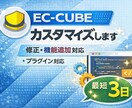 EC-CUBEのカスタマイズ・修正対応します 機能追加・不具合修正・表示調整など柔軟に対応します イメージ1
