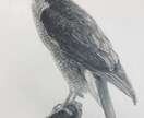 絵(デッサン、水彩ほか)の指導をさせていただきます (初心者向け)【一人一人の方に沿ったアドバイスをします】 イメージ3