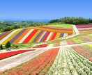 運動不足解消❗️自宅で毎日10分の体操応援します まずは7日間!一緒にトライ♪習慣化を目指しましょ✨ イメージ10