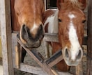 あなたが今お話ししたいその気持ち、私がお聞きします 悩み・愚痴・不安・自慢話・誰かと話したい、何でも大丈夫です！ イメージ6
