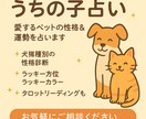 飼い主×ペット相性占い＋手相鑑定します あなたとペットの絆を、手相と占術で深く読み解きます。 イメージ3
