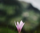 恋愛がうまくいかない原因を読み心の鍵を整えます 新しい恋を迎えるためにあなたに必要なメッセージ イメージ2