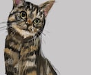 ペットの似顔絵描きます ペットの似顔絵を、アートにします イメージ2