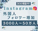 Instagramの外国人フォロワーを増加します 30日保証！複数垢に振り分け、ゆっくりフォロワー増加も対応！ イメージ1