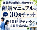 30分離婚相談チャット♦️離婚マニュアルあります 弁護士依頼なしで離婚調停、強制執行に勝訴した経験者です イメージ1