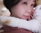 愚痴や何でもお話お伺いします！ます 眠れない夜にちょっと話し相手が欲しいときにいかがですか？ イメージ2