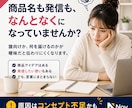 商品・発信コンセプト設計GPTをお渡しします 商品名・発信軸・プロフィールの土台を質問形式で整理できます イメージ2