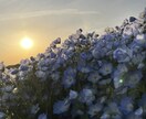気持ちを否定せず、静かにお話を聴きます 答えを押しつけず、気持ちに寄り添います イメージ3