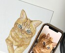 大切なペットのイラスト描きます 世界に一つだけ☆手描き水彩画ペットイラスト イメージ4