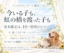 ペットの気持ちと家族への想いを文章で届けます 今いる子も旅立った子も、受け取った想いを文章でお届けします イメージ4
