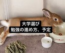 受験勉強or大学選びの相談乗ります 塾講師４年目、大学選びの参考や、勉強の進め方などどうぞ！ イメージ1