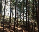 雑談から深刻な悩みまで☆優しく傾聴します 話せて良かったって思って貰えるようにアナタの心に寄り添います イメージ5