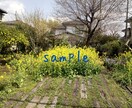 風景写真を提供します 季節の花の風景写真をjpgで提供します イメージ1