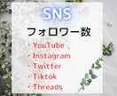 Instagramのフォロワー数を増やします 【期間限定価格】1,000人～・12時間以内に増加開始 イメージ3