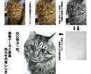 リアルな鉛筆画！ご家族、ペットの肖像画を描きます 記念日や贈り物、自分へのご褒美、インテリア等にいかがですか？ イメージ3