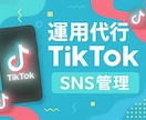 モニター案件　TikTokの運用代行をします 集客・求人・売上向上をご支援致します！ イメージ2